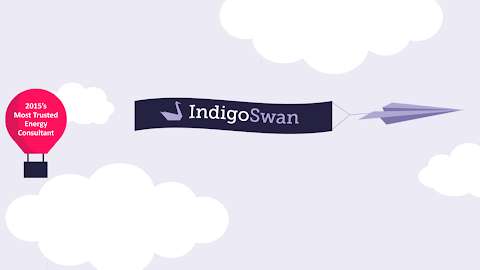 Indigo Swan photo