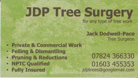 JDP Tree Surgery photo